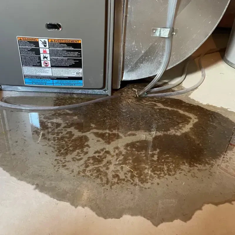 Appliance Leak Cleanup in Sumas, WA